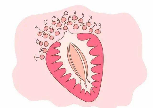 女人外阴唇有疙瘩是怎么回事